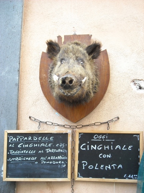 Cinghiale: wild boar that is a Tuscan staple.