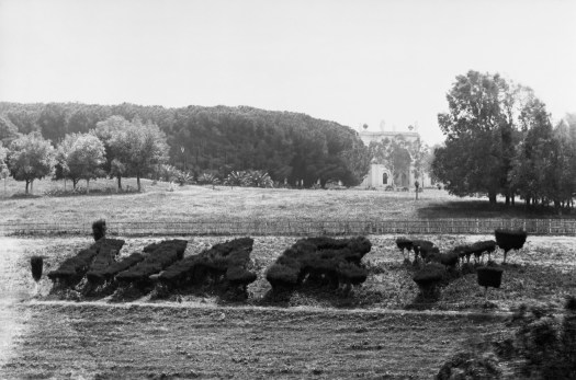 Villa Doria Pamphilj (c) Country Life