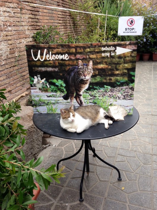 Welcome to the Argentina sanctuary!